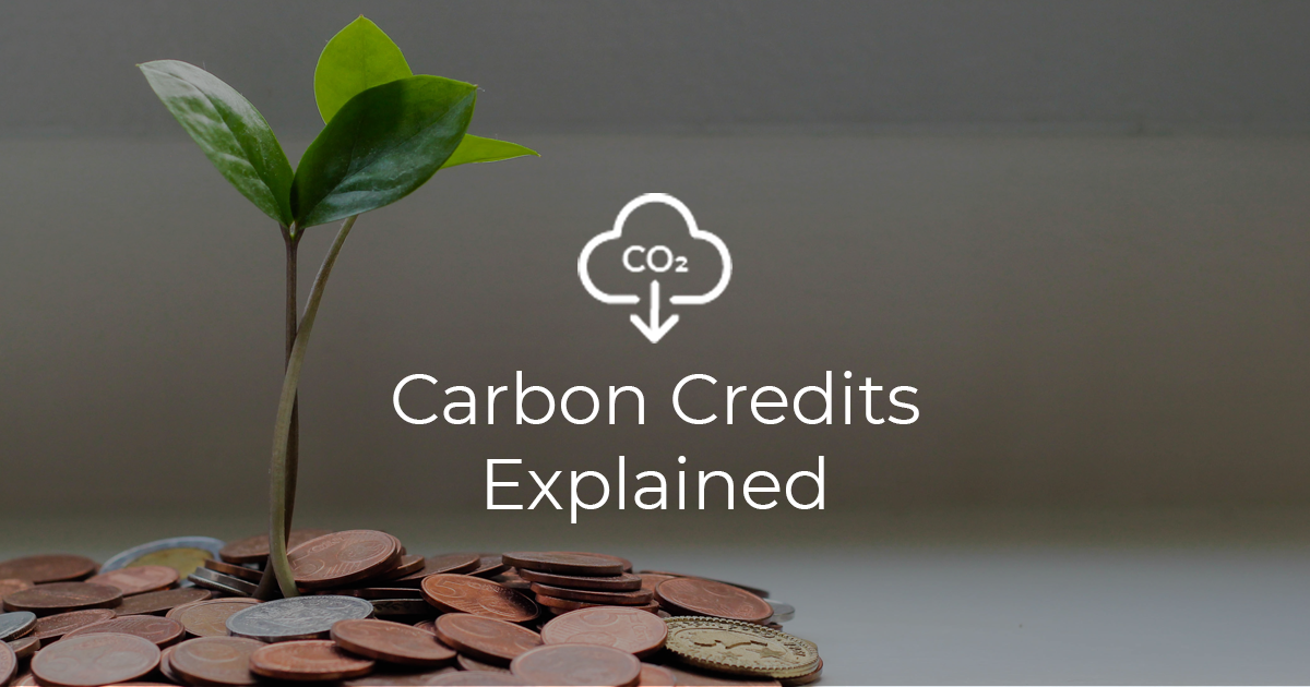 ITI Fund - Carbon credit